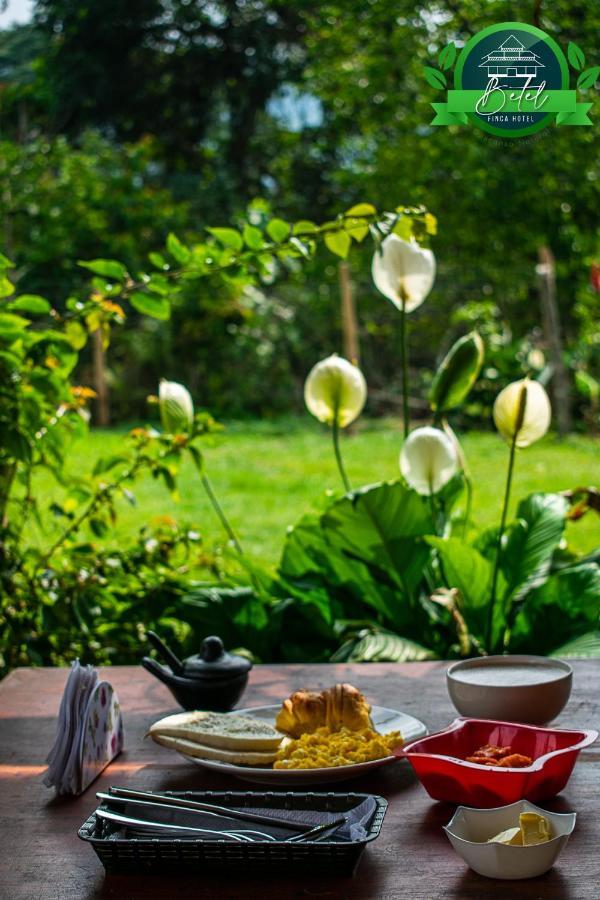 Finca Hotel Betel San Carlos 外观 照片