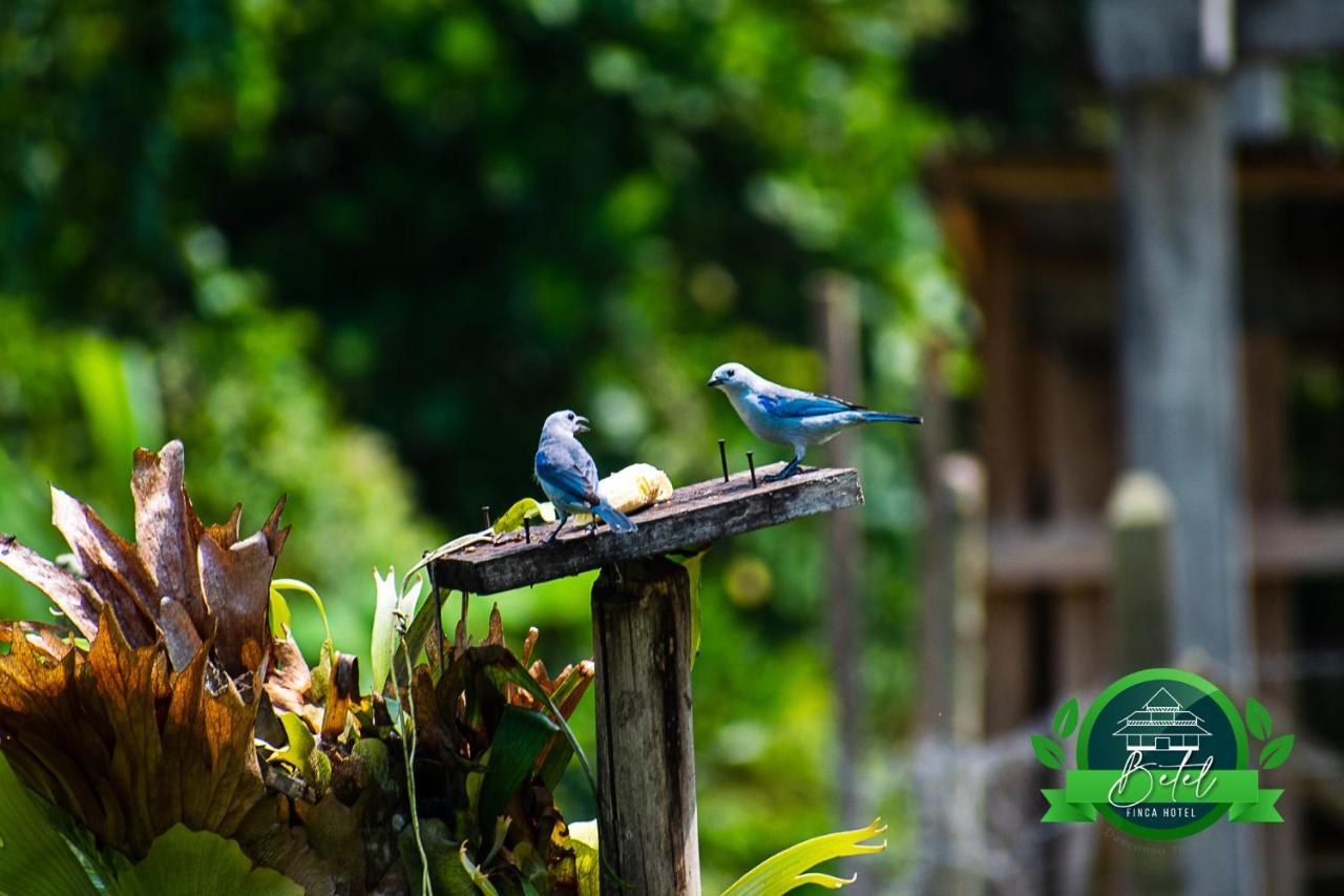 Finca Hotel Betel San Carlos 外观 照片
