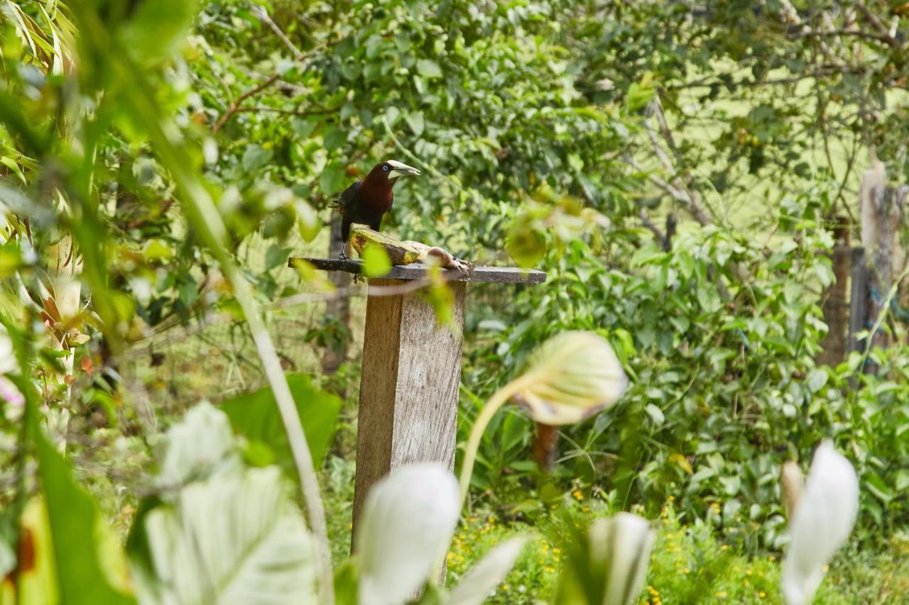 Finca Hotel Betel San Carlos 外观 照片